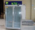 二門(mén)便利店冷柜